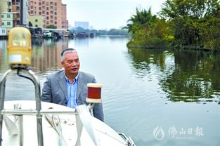 大沥联合治理打造水乡 10号岛重焕生机